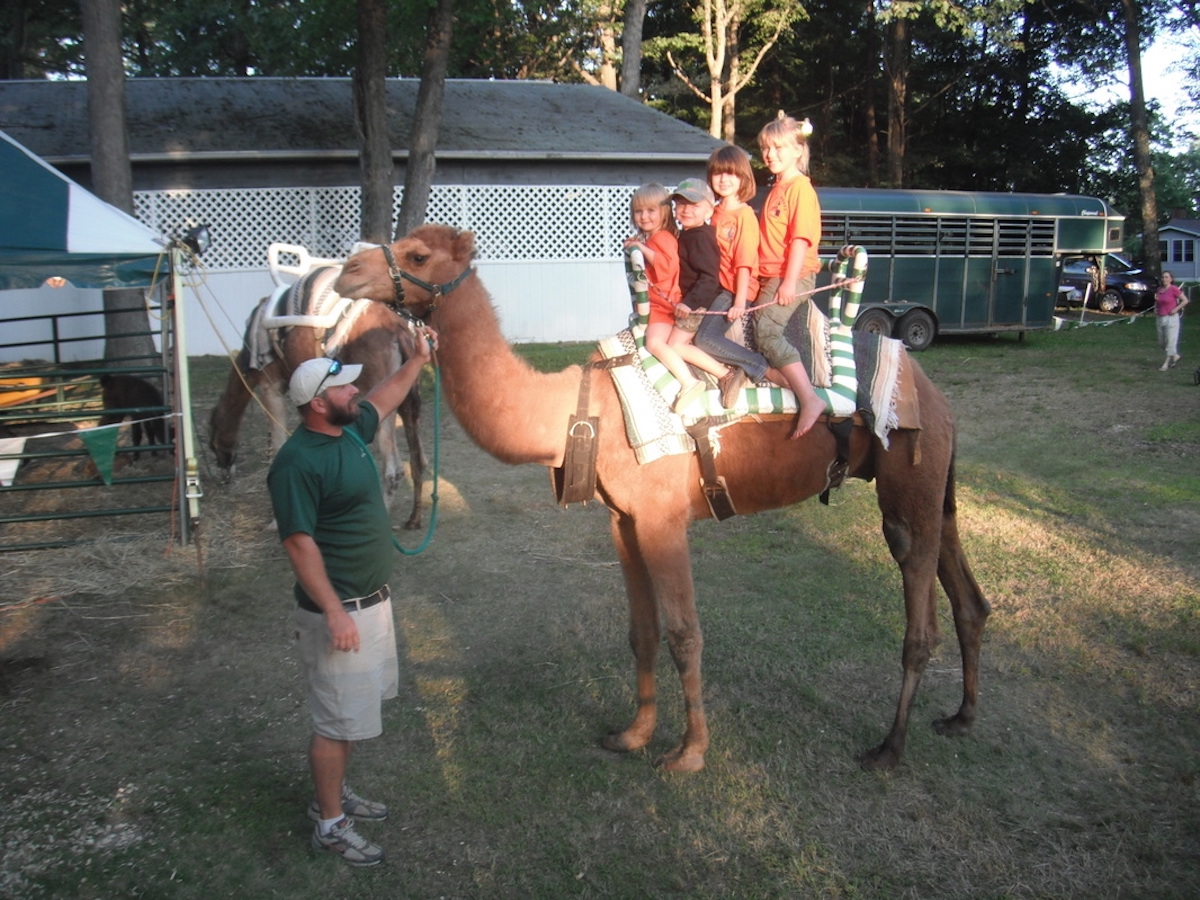 Camel Ride