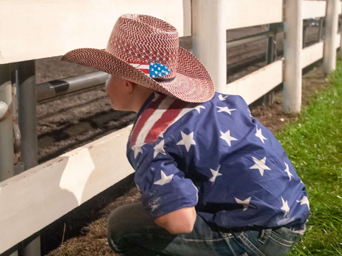 Kid watching the rodeo at the Loudoun County Fair